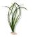 Br Plant Eel Grass Xl 1