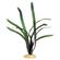 Br Plant Eel Grass Xl 2