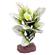 Br Plant Flowering Melon 2