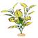 Br Plant Flowering Willowlf  1