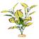 Br Plant Flowering Willowlf  2
