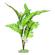Br Plant Fountain Fern Xl  2