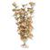 Plant - Flowering Marsh Wood (Orange) 1