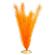 Plant - Soft Foxtail (Brite Orange) 1