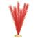 Plant - Soft Foxtail (Red) 2
