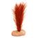 Plant - Soft Foxtail (Red) 3