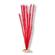 Plant - Soft Foxtail (Red) 5