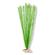 Plant - Soft Foxtail (Emerald Green) 1