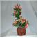 Rocky Air Color Lava 2 Plants 1