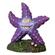 Br Aq Kritter Ii Sea Star 1
