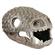 Br Gila Monster Skull  1