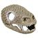 Br Gila Monster Skull  2