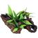 Br Mopani Wood Silk Plants  1
