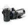 Lfgd Sea Horse Pump 3