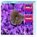 T Marin Test Kit Salt Calcium/Magnesium 1