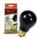 Rzil Boxed Night Bulb Blk 1