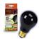 Rzil Boxed Night Bulb Blk 2