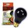 Rzil Boxed Night Bulb Blk 3