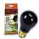 Rzil Boxed Night Bulb Blk 4