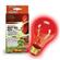 Rzil Boxed Night Bulb Red 3