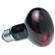 Zoo Infrared Inc Noc Bulb 1