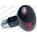 Zoo Infrared Inc Noc Bulb 1