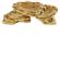 Cc Desert Rock Feeder Ornament 1