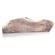 Happy Dog of Cape Cod Sliced Elk Antler 2
