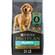 Purina Pro Plan Shredded Blend Puppy Chicken & Rice Formula 1