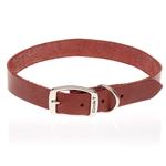 Latigo Leather Collars and Leads