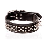 Leather Spike Collar