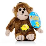 Rope, Tug & Interactive Toys