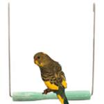 Sand Perch Swing