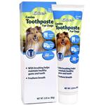 8-in-1 D.D.S. Dental Products