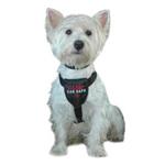 Clix Car Safe Harness for Dogs