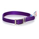 Nylon Collar - Purple