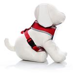 Four Paws Nite Brite Reflecting Harness-Red