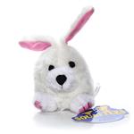 Booda Squatters - Rabbit