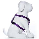 Adjustable Harness-Purple