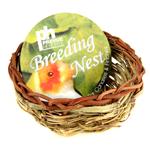 Canary Twig Nest
