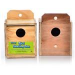 Ware Wood Nesting Box-Finch Reverse