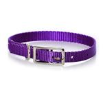 Nylon Collar - Purple