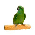 Perches