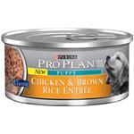 Purina Pro Plan Canned Chicken and Brown Rice Entree for Adult Dogs