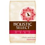 Holistic Select- Senior Health Chicken Meal & Rice Recipe, Dry Dog Food