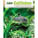 Tfh Aquarium Success Catfish