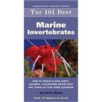 Tfh 101 Best Marine Invertebrates