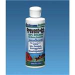Kord Prevent Ich