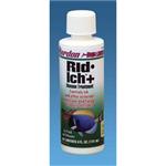 Kord Rid Ich