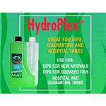 Ruby Hydroplex 